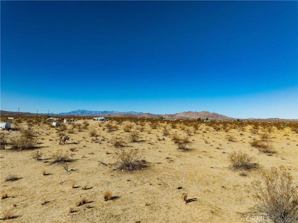 MLS #JT25236407 image #15