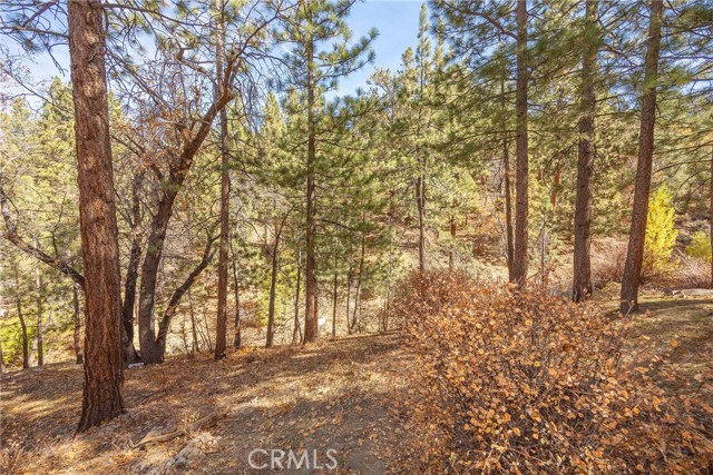 Detail Gallery Image 17 of 57 For 1200 Minton Dr, Big Bear City,  CA 92314 - 3 Beds | 2 Baths
