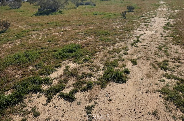 Front Image Thumbnail for CRHD26037913