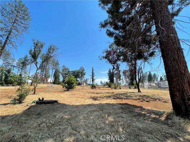 676 Meyers Lane, Paradise, California 95969, ,Land,For Sale,676 Meyers Lane,CRSN23106927