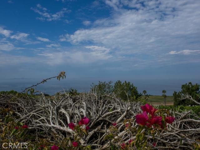 32325 Sea Raven Drive, Rancho Palos Verdes, California 90275, 4 Bedrooms Bedrooms, ,2 BathroomsBathrooms,Residential,Sold,Sea Raven,SB14160301