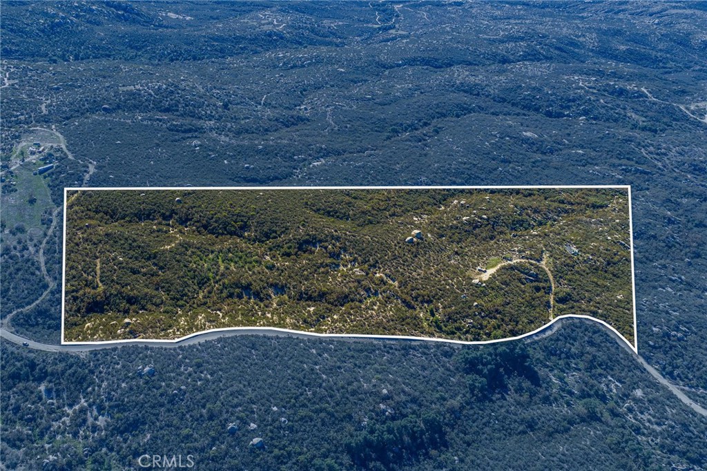 MLS #SW25270253 image #13