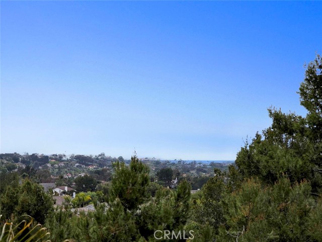 Detail Gallery Image 52 of 66 For 6312 Camino Marinero, San Clemente,  CA 92673 - 5 Beds | 5/1 Baths