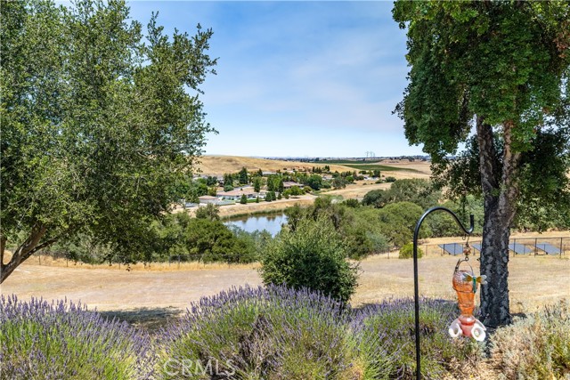 2045 Vista De La Vina, Templeton CA: https://media.crmls.org/medias/8c853318-2169-4473-82f6-3a7f34760e73.jpg