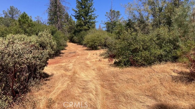 0 Potter Ravine Road, Oroville, California 95965, ,Land,For Sale,0 Potter Ravine Road,CRSN22192299