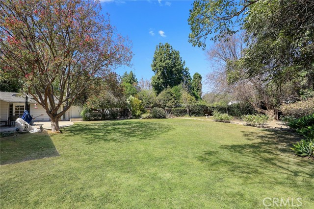 3625 Lombardy photo 46