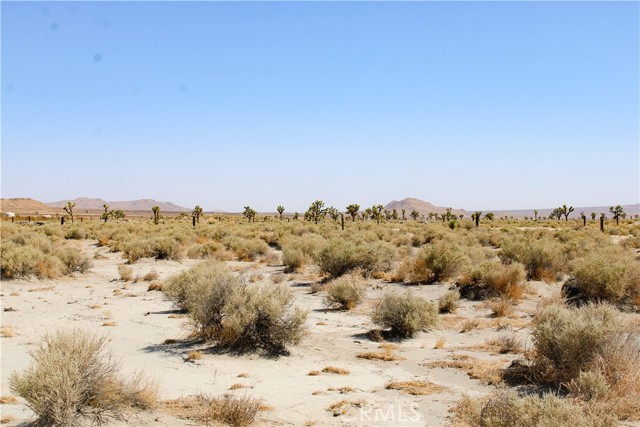 Detail Gallery Image 14 of 14 For 4 Ac Markham Ave, El Mirage,  CA 92301 - – Beds | – Baths