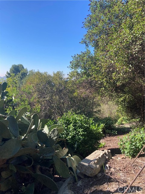 Detail Gallery Image 31 of 37 For 3633 Lavell Dr, Los Angeles,  CA 90065 - 1 Beds | 1 Baths