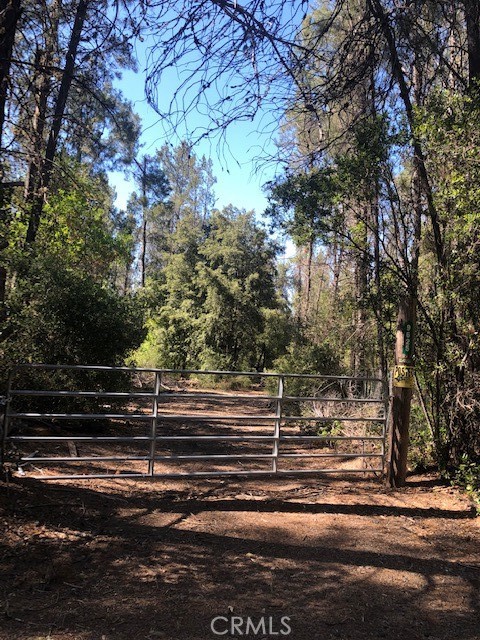9625 Nancy, Kelseyville, CA, 95451 9625 Nancy, Kelseyville, CA, 95451