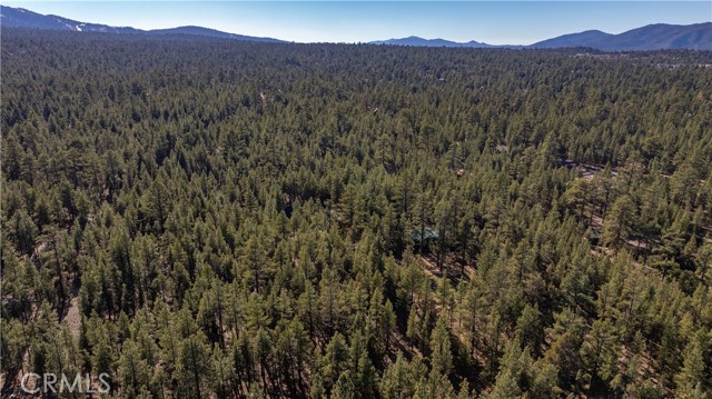 Image 47 of 50 For 1901 State Court