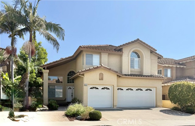 Front Image Thumbnail for CROC25235356