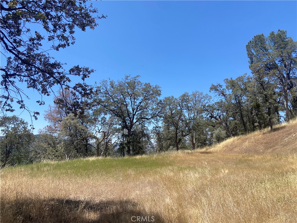 MLS #MP25142580 image #3