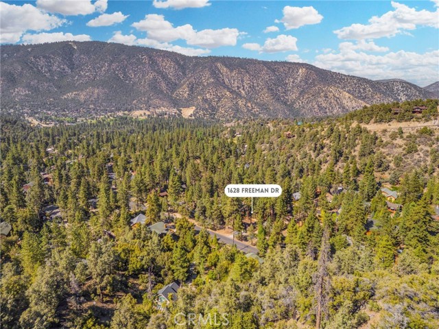 1628 Freeman Dr, Pine Mountain Club CA: https://media.crmls.org/medias/8c90dd50-61c4-436a-bb0f-980554b7acf0.jpg