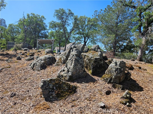 Detail Gallery Image 63 of 64 For 211 Sunnyhills Rd, Bangor,  CA 95901 - 2 Beds | 2 Baths