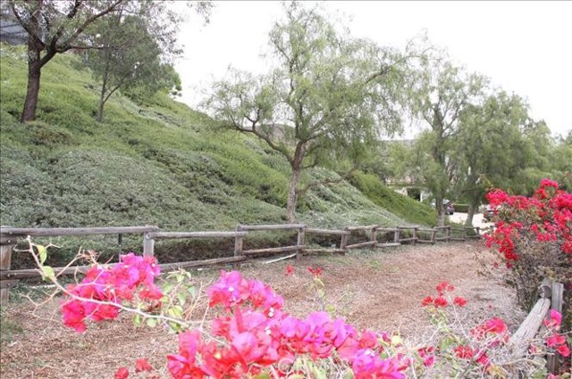 31032 Via Estenaga, San Juan Capistrano CA: https://media.crmls.org/medias/8c951591-0289-4bb1-9b22-e3f50fe8e5ce.jpg
