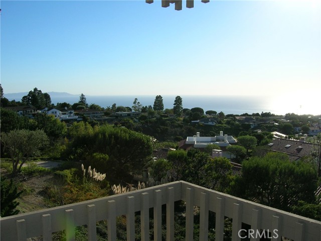 Catalina Island View