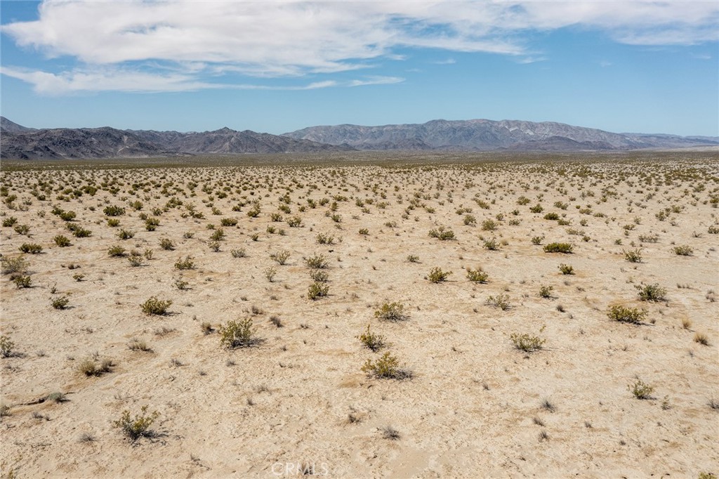 MLS #JT23077574 image #12