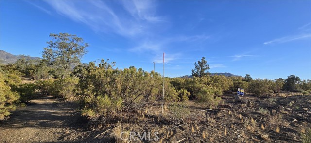 Front Image Thumbnail for CRDW26149054
