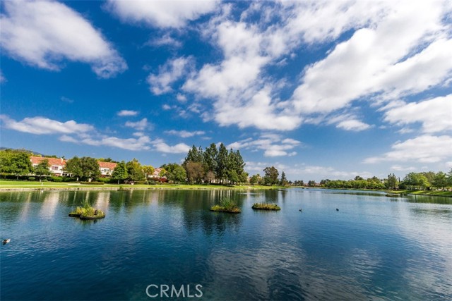 29 Raposa, Rancho Santa Margarita CA: https://media.crmls.org/medias/8ca50739-152b-4e8f-9ac4-f15d61fef780.jpg