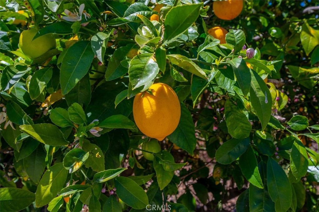 8caa1319 0a0c 49da 8336 7708d7eaeee5