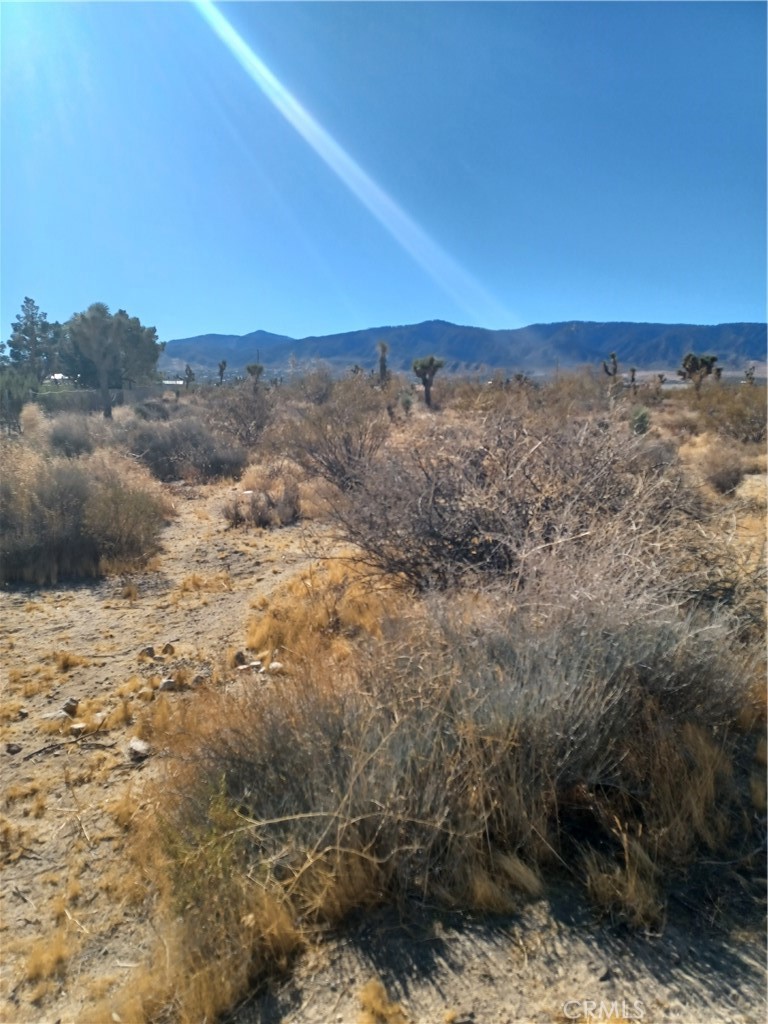 MLS #CV25117783 image #5