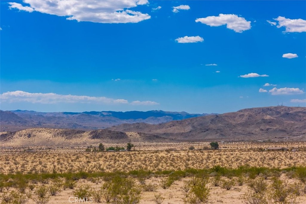 MLS #JT25263725 image #16