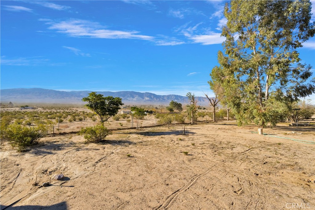 MLS #HD25260875 image #7