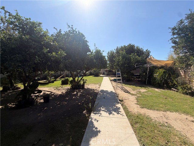 12366 Magnolia photo 9