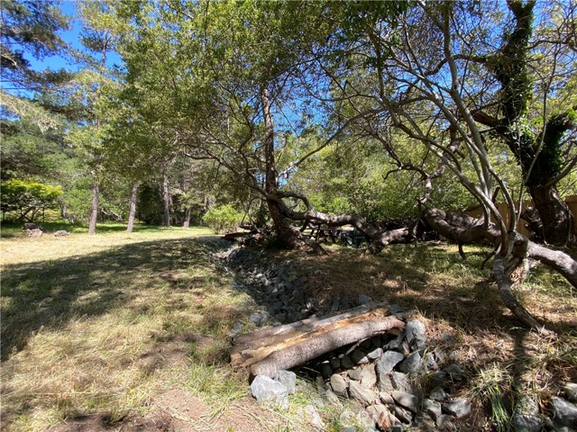 Detail Gallery Image 5 of 18 For 1275 Warren Rd, Cambria,  CA 93428 - – Beds | – Baths