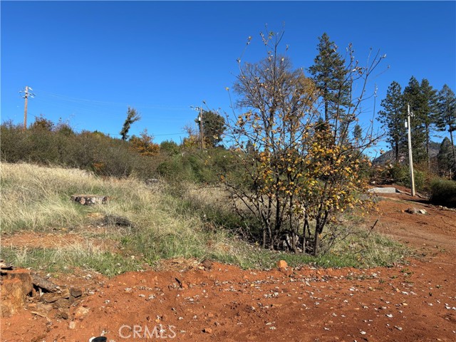 Detail Gallery Image 5 of 8 For 9325 Skyway, Paradise,  CA 95969 - – Beds | – Baths