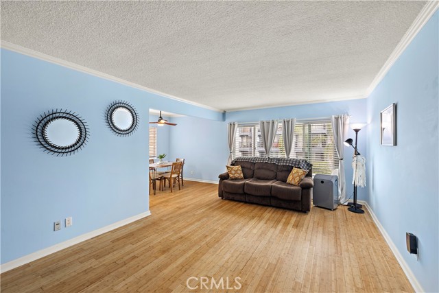 335 Cedar Ave #315
