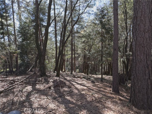 Detail Gallery Image 37 of 38 For 14279 Carnegie, Magalia,  CA 95954 - 3 Beds | 2 Baths