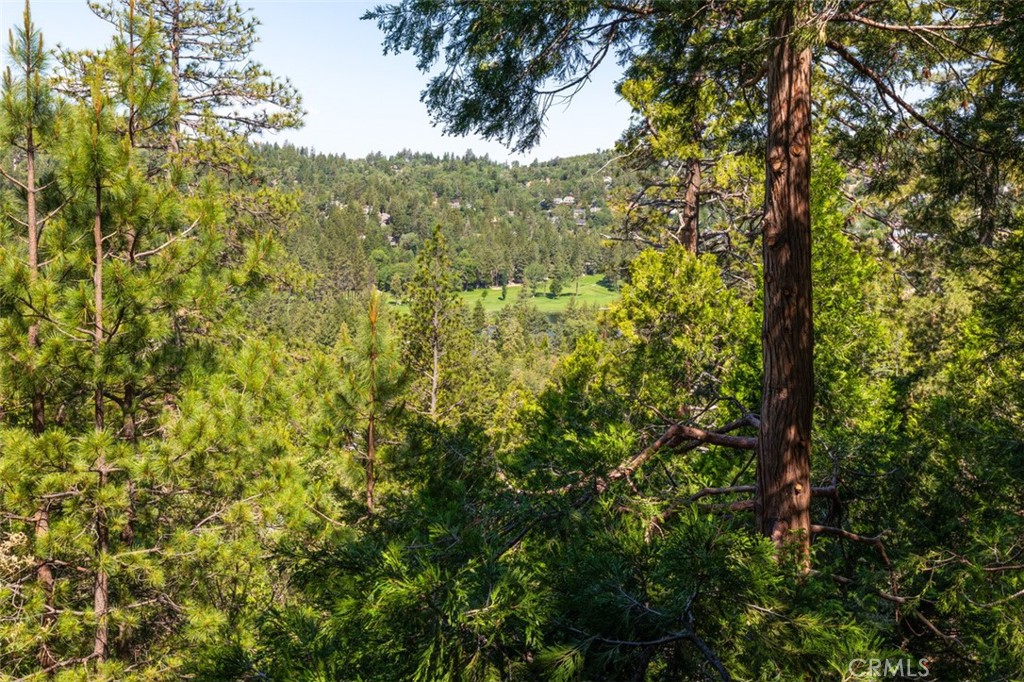 https://media.crmls.org/medias/8cc8bf58-e272-4f0f-8a45-172de29cb5ad.jpg?preset=X-Large