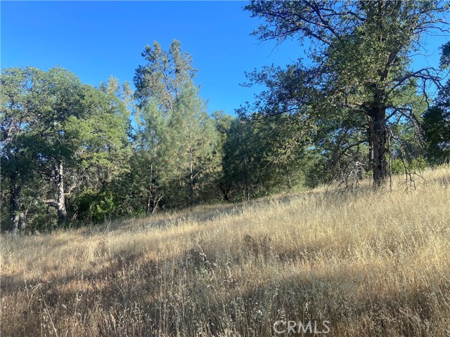 0 State Hwy 140, Mariposa CA: https://media.crmls.org/medias/8cd3f9d6-e36b-43aa-b8f3-a92ae684bd4d.jpg