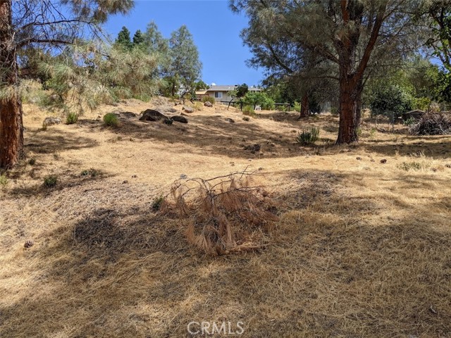 9720 Sequoia Road, Kelseyville, California 95451, ,Land,For Sale,9720 Sequoia Road,CRLC23161083