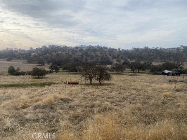 Detail Gallery Image 9 of 18 For 312 Oak St, Parkfield,  CA 93451 - – Beds | – Baths