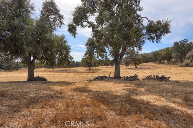 Detail Gallery Image 47 of 61 For 4780 Morningstar Ln, Mariposa,  CA 95338 - 3 Beds | 2 Baths