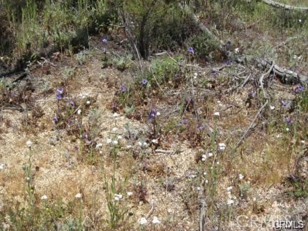 Detail Gallery Image 2 of 3 For 8 Dove Dr, Aguanga,  CA 92536 - – Beds | – Baths