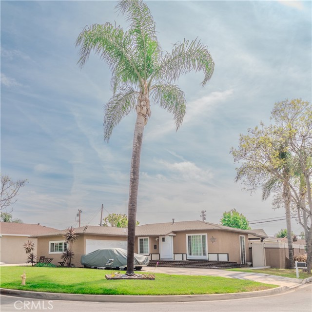 Front Image Thumbnail for CRPW26071322