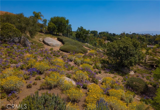 28306 Crescent Hill Way, Escondido CA: https://media.crmls.org/medias/8ce9aa89-7586-442d-b8ca-82f3f848d847.jpg