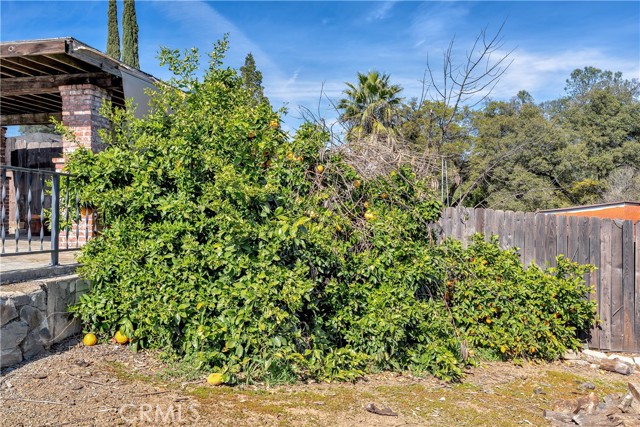 Detail Gallery Image 65 of 68 For 124 Glen Cir, Oroville,  CA 95966 - 3 Beds | 2/1 Baths