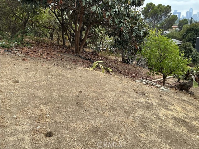 Detail Gallery Image 13 of 25 For 1947 Delta, Los Angeles,  CA 90026 - 1 Beds | 1 Baths