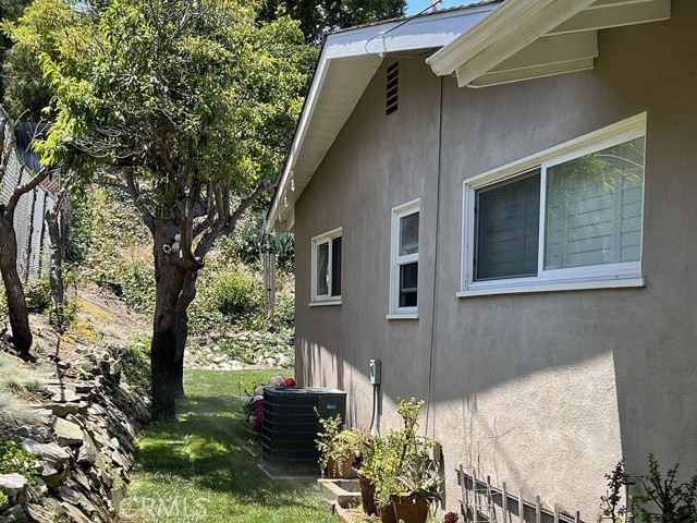 Side Yard
