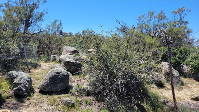 Detail Gallery Image 14 of 18 For 38289 Fisher Rd, Anza,  CA 92539 - – Beds | – Baths