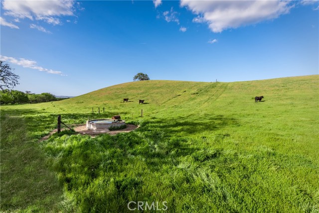 Paso Robles, CA 93446