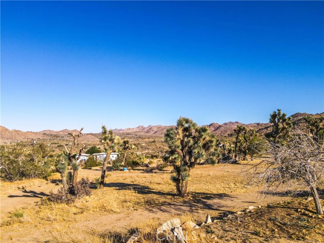 Detail Gallery Image 44 of 56 For 8672 via Rocosa Rd, Joshua Tree,  CA 92252 - 2 Beds | 3 Baths