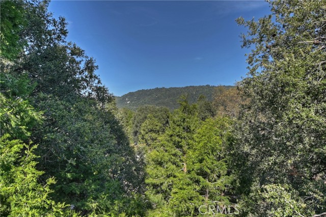 Detail Gallery Image 17 of 45 For 197 Weisshorn Dr, Crestline,  CA 92325 - 4 Beds | 3 Baths