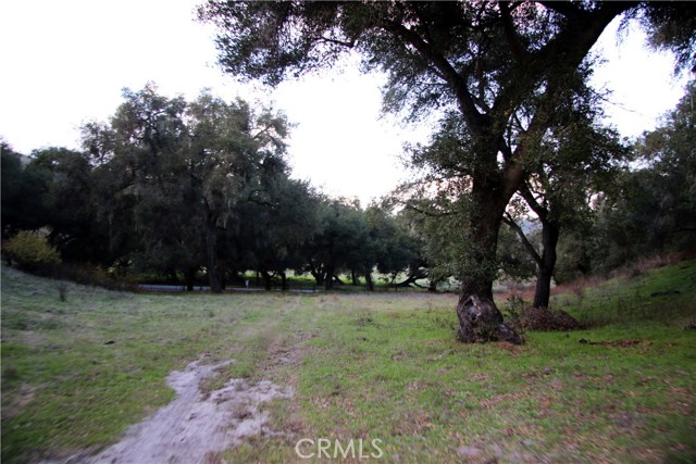 Detail Gallery Image 6 of 18 For 0 Huasna Rd, Arroyo Grande,  CA 93420 - – Beds | – Baths