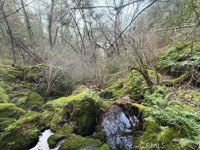 Detail Gallery Image 12 of 20 For 0 Rex Lane, Oroville,  CA 95966 - – Beds | – Baths