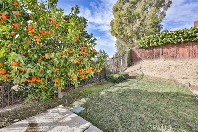 Detail Gallery Image 11 of 66 For 53 Rolling Hills Dr, Pomona,  CA 91766 - 3 Beds | 2 Baths